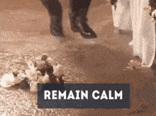 a sign that says remain calm next to a bouquet of flowers on the ground