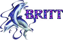 Britt Logo GIF - Britt Logo Dolphin GIFs