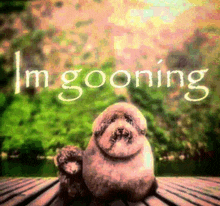 a dog sitting on a wooden deck with the words i 'm going