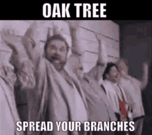 oak tree morris day the time spread your branches 80s music