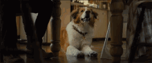 Hungry Eating GIF - Hungry Eating Getting A Treat GIFs