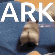 Ark Game GIF - Ark Game Hamster GIFs