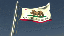 a new california republic flag with a bear and a star