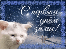a postcard with a cat and the words " с первым днем зимы " on it