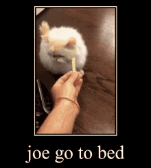 Karate Joe Go To Bed GIF - Karate Joe Go To Bed GIFs