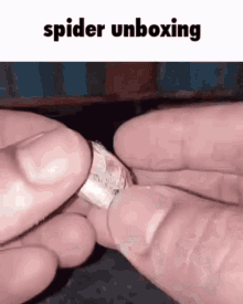 Spider Unboxing Unboxing GIF - Spider Unboxing Unboxing Spider GIFs