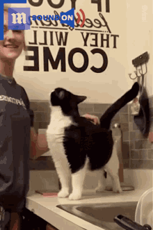 Cat Back Scratched GIF - Cat Back Scratched Cat Back Scratched GIFs