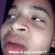 Mother Where Is Your Mother GIF - Mother Where Is Your Mother Where GIFs