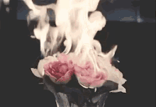 Sad Burning Roses GIF