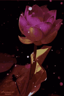 Lotus GIF - Lotus GIFs