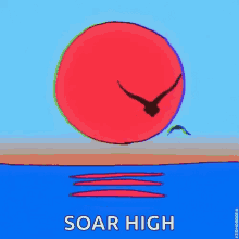 soar high