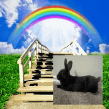 a picture of a rainbow and a picture of a rabbit on a staircase