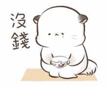 cat hungry