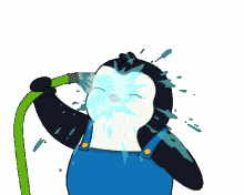 sweat penguin