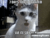 7daystodie Cat Pog GIF