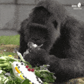 Gorilla Cake GIF - Gorilla Cake Berlin Zoo GIFs