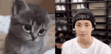 Jungwon Catboy Jungwon GIF - Jungwon Catboy Jungwon Enhypen GIFs