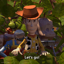 a picture of woody from toy story with the words let 's go below him