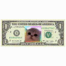 a one dollar bill with a cat face on it