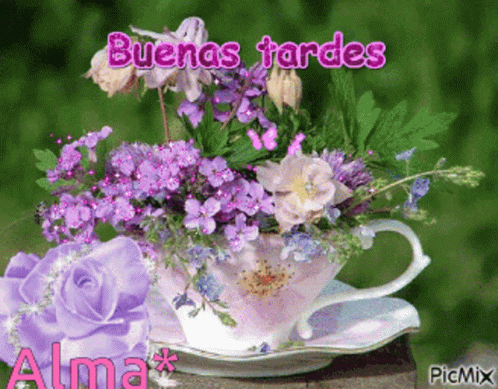 Buenas Tardes Flores Lilas GIF - Buenas Tardes Flores Lilas - Discover &  Share GIFs
