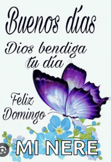 a purple butterfly with the words buenos dias dios bendiga tu dia feliz domingo