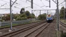 Xpt Obsessed With Trains GIF