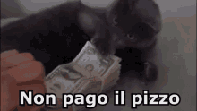 pizzo pay mafia camorra money
