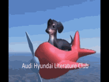 Audi Hyundai Literature Club Illyra GIF