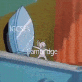 Igcse Caie GIF - Igcse Caie Cambridge GIFs
