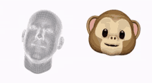Emoji Animjoi GIF - Emoji Animjoi Monkey GIFs