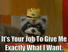 Crazy Quilt Jackson The Raccoon GIF - Crazy Quilt Jackson The Raccoon Its Your Job To Give Me Exactly What I Want GIFs