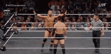 Bobby Roode Nxt GIF - Bobby Roode Nxt Wrestling GIFs