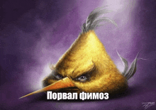 a drawing of an angry bird with a caption in russian