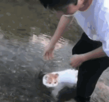 Cat Float GIF - Cat Float Floaty GIFs