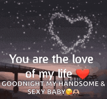 you are the love of my life goodnight my handsome & sexy baby .