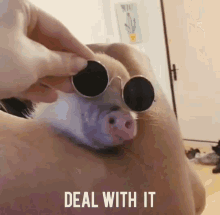 Deal Deal With It GIF - Deal Deal With It Thug Life GIFs