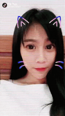 Filter Cat Filter GIF - Filter Cat Filter I Love You The Most GIFs