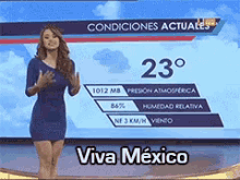 Viva México GIF - Vivamexico Mexico Noticias GIFs