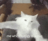 Syzygy Me When Syzygy Is Active GIF - Syzygy Me When Syzygy Is Active GIFs