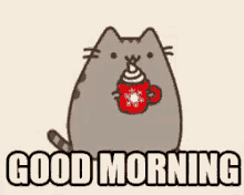 morning good morning pusheen cat coffee