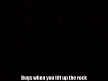 Bugs Rock GIF - Bugs Rock GIFs