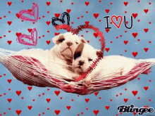 Bulldog Love GIF - Bulldog Love I Love You GIFs