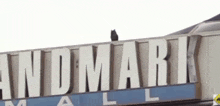 a cat is sitting on top of the landmark mall sign