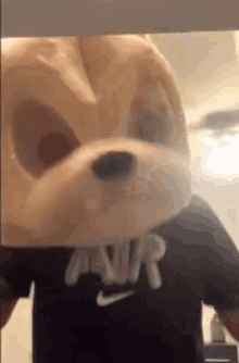 What The Dog Doing GIF