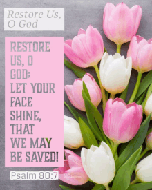 The Lord Restores GIF - The Lord Restores GIFs