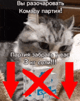 a cat sitting next to a box of salt with arrows pointing to it