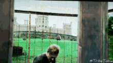 a picture of a castle behind a fence with the words tribe tobia written on the bottom