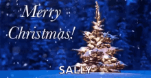 Sally Christmas Lights GIF - Sally Christmas Lights Merry Christmas GIFs