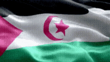 flag western sahara wave