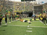 a group of cheerleaders on a field with a big network logo in the background